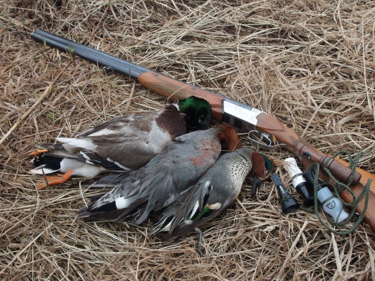 Худ. Владимир Чумаков-Орлеанский «охота на охоту»