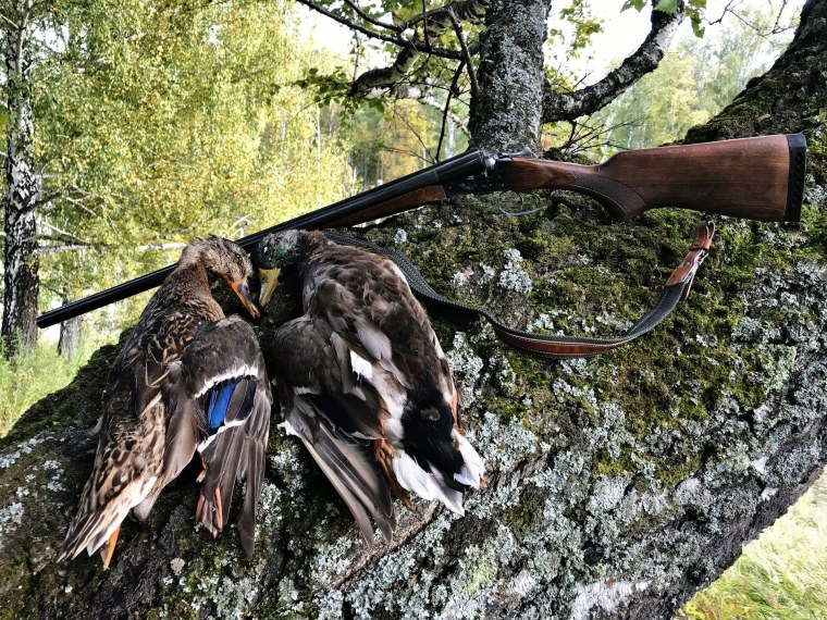 Охотник на рассвете