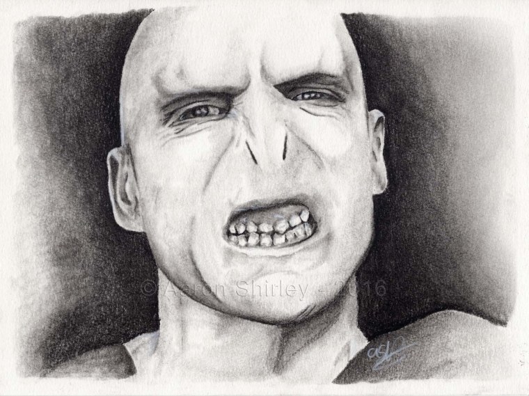 Воландеморт портрет