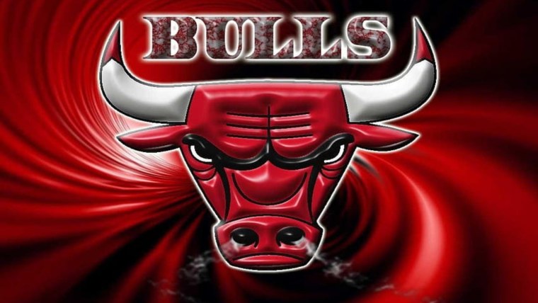 Красный бык Chicago bulls