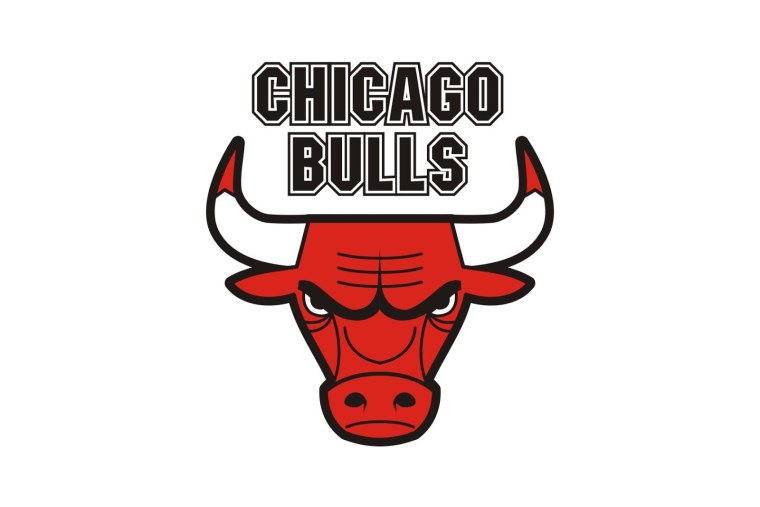 Chicago bulls