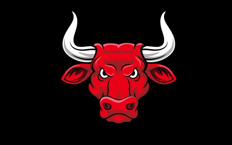 Братья Буллс бык