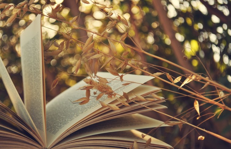 Книга волшебства