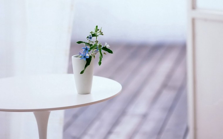 Цветы Минимализм