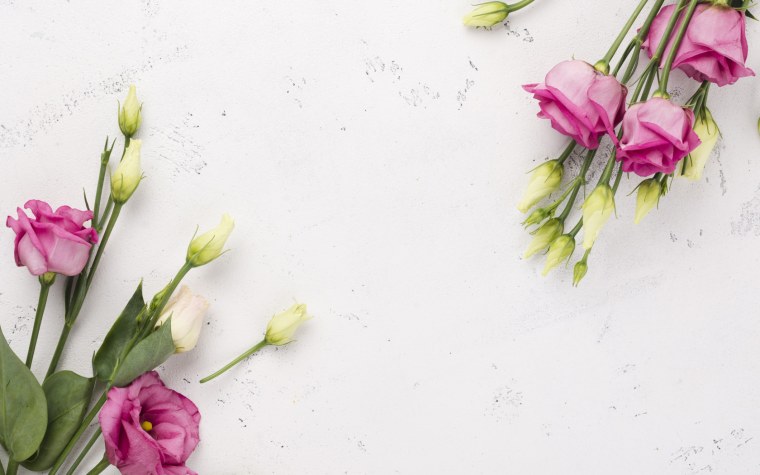 Фотообои эустома