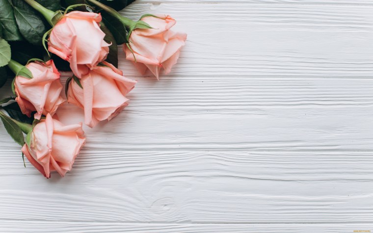 Цветы Минимализм