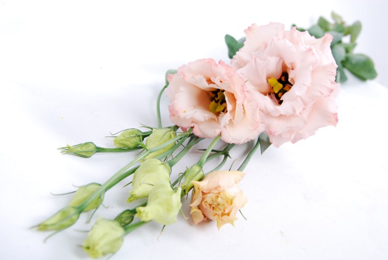 Букет роз обои на рабочий стол