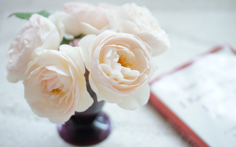 Нежные белые цветы