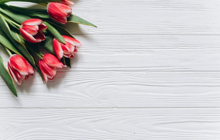 Фотофон с тюльпанами