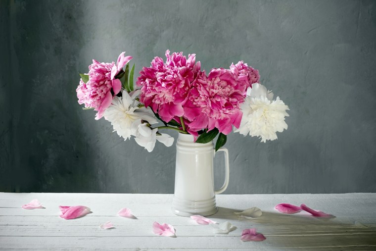 Тюльпаны на белом фоне