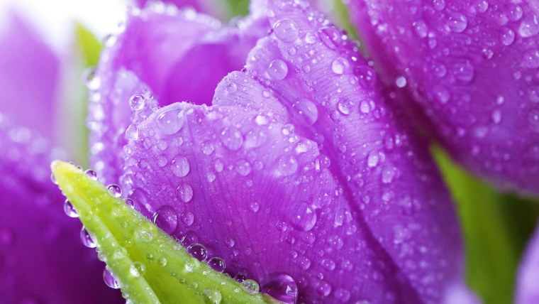 Красивые обои на рабочий столэ