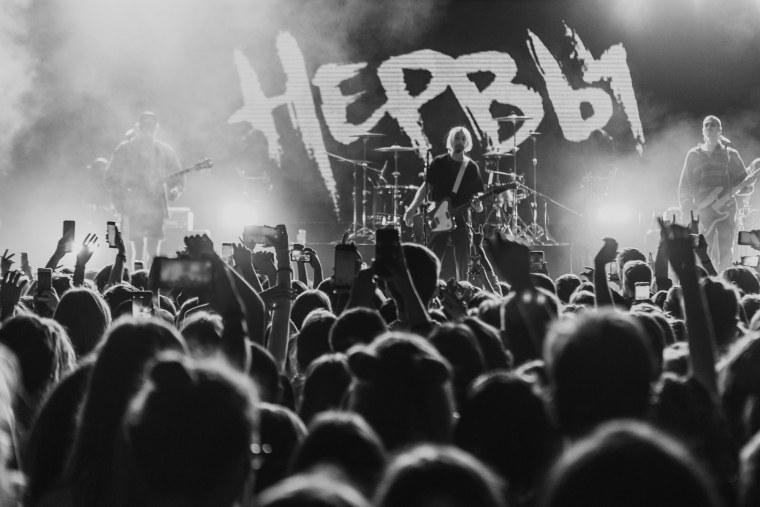 Группа нервы Эстетика