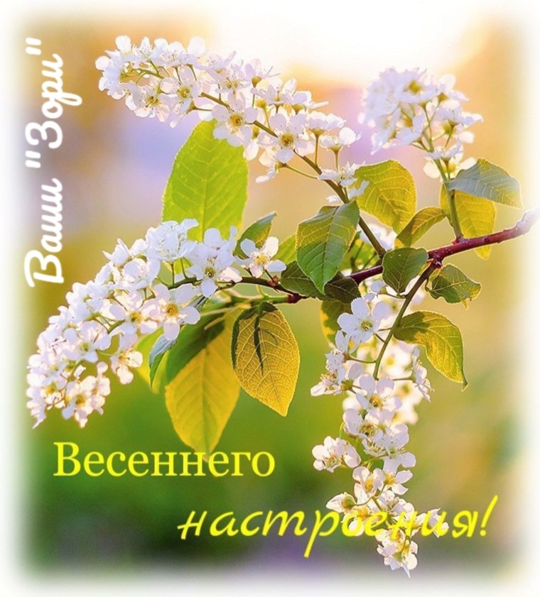 Открытка «Весна»