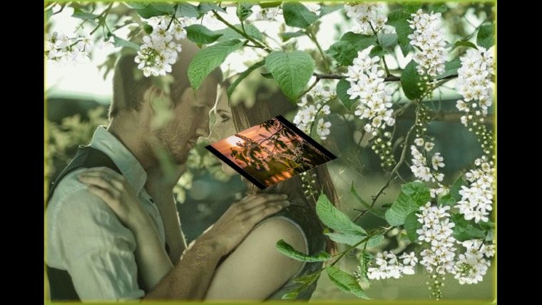 Влюбленные под черемухой ...