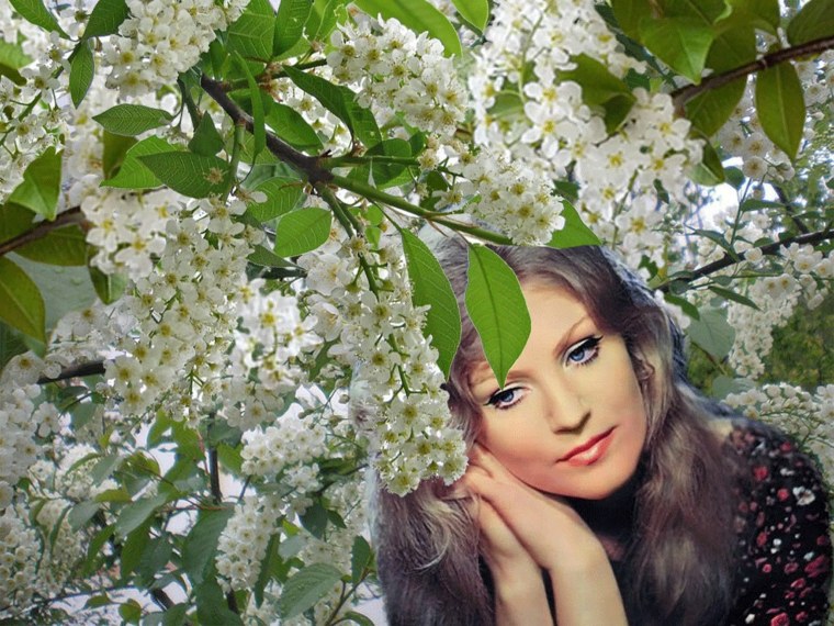 Анна Герман белая черемуха