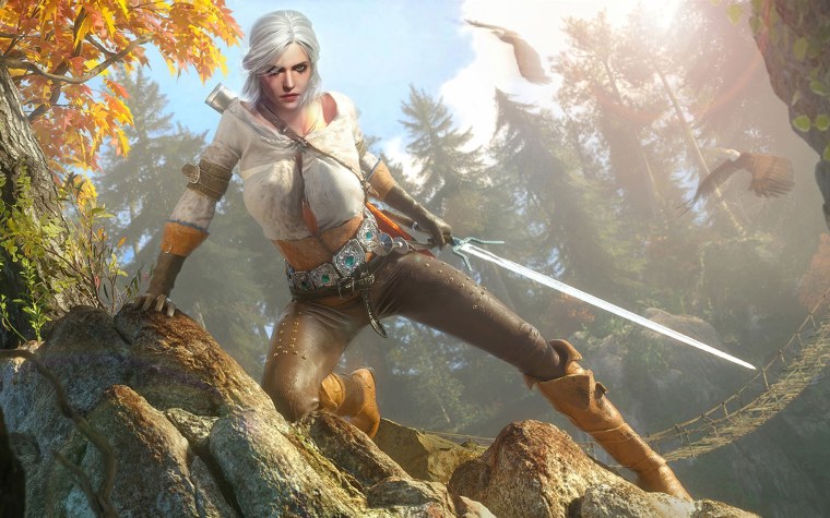 The Witcher 3 Wild Hunt Цирилла