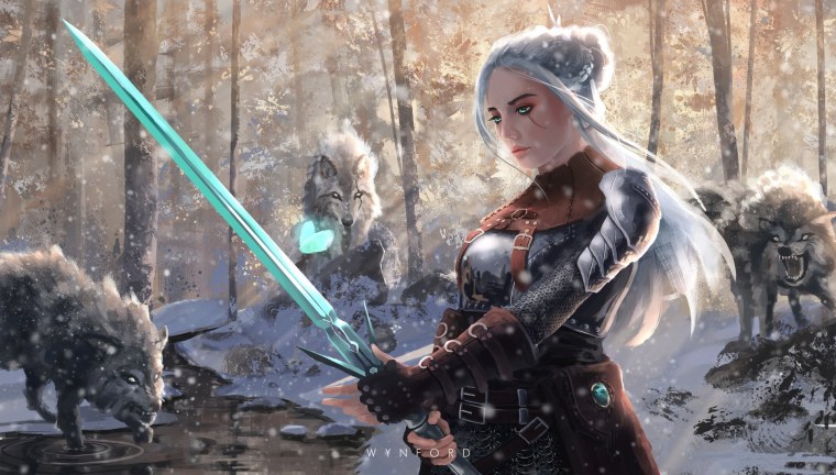 Ведьмак Цири арт зима