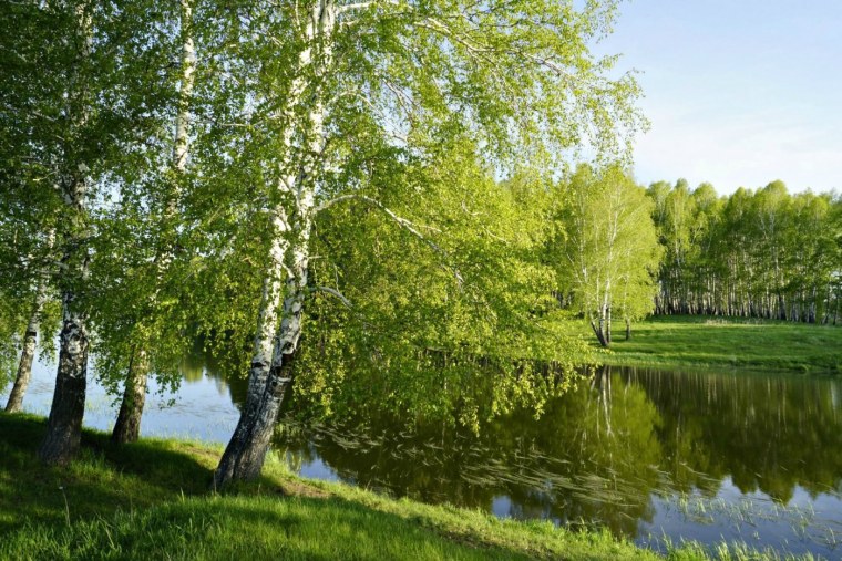 Волга река Березка