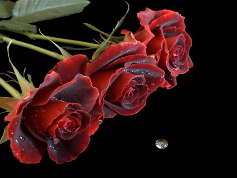 Мерцающие цветы для девушки