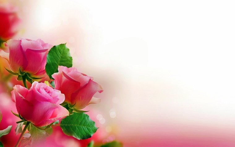 С днём рождения 65 лет женщине