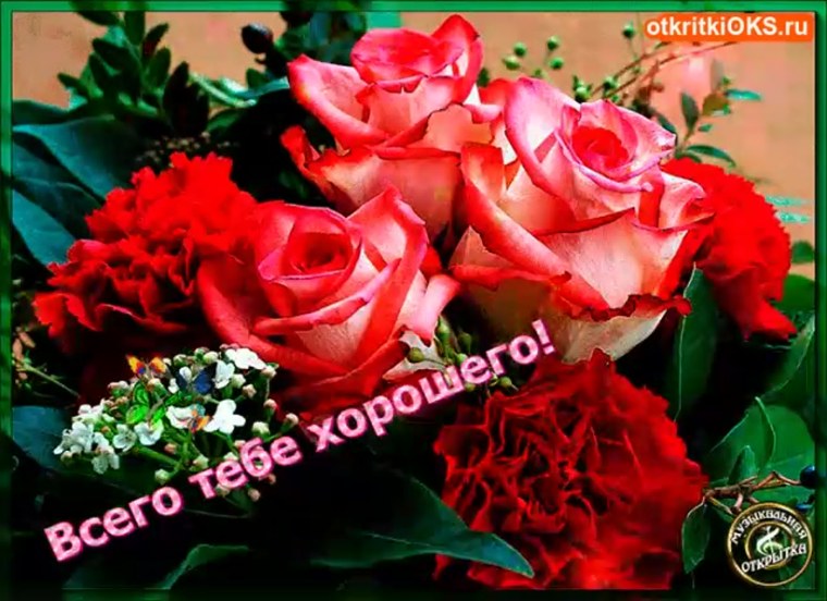 Розы с пожеланиями счастья и здоровья