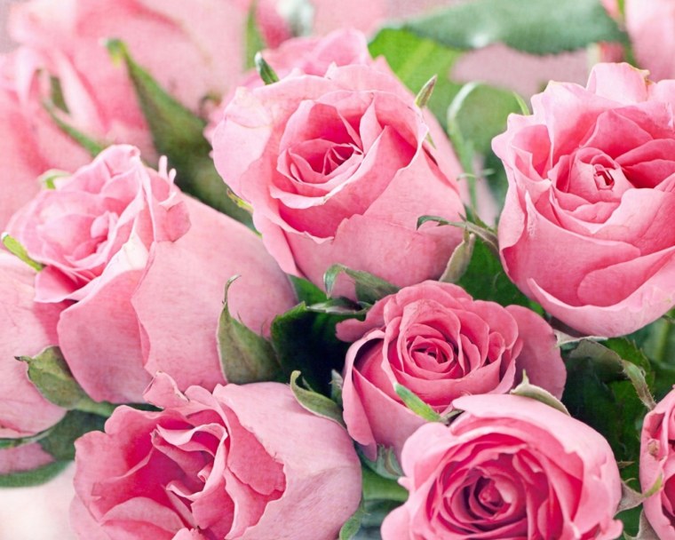 Фото любимой тещи