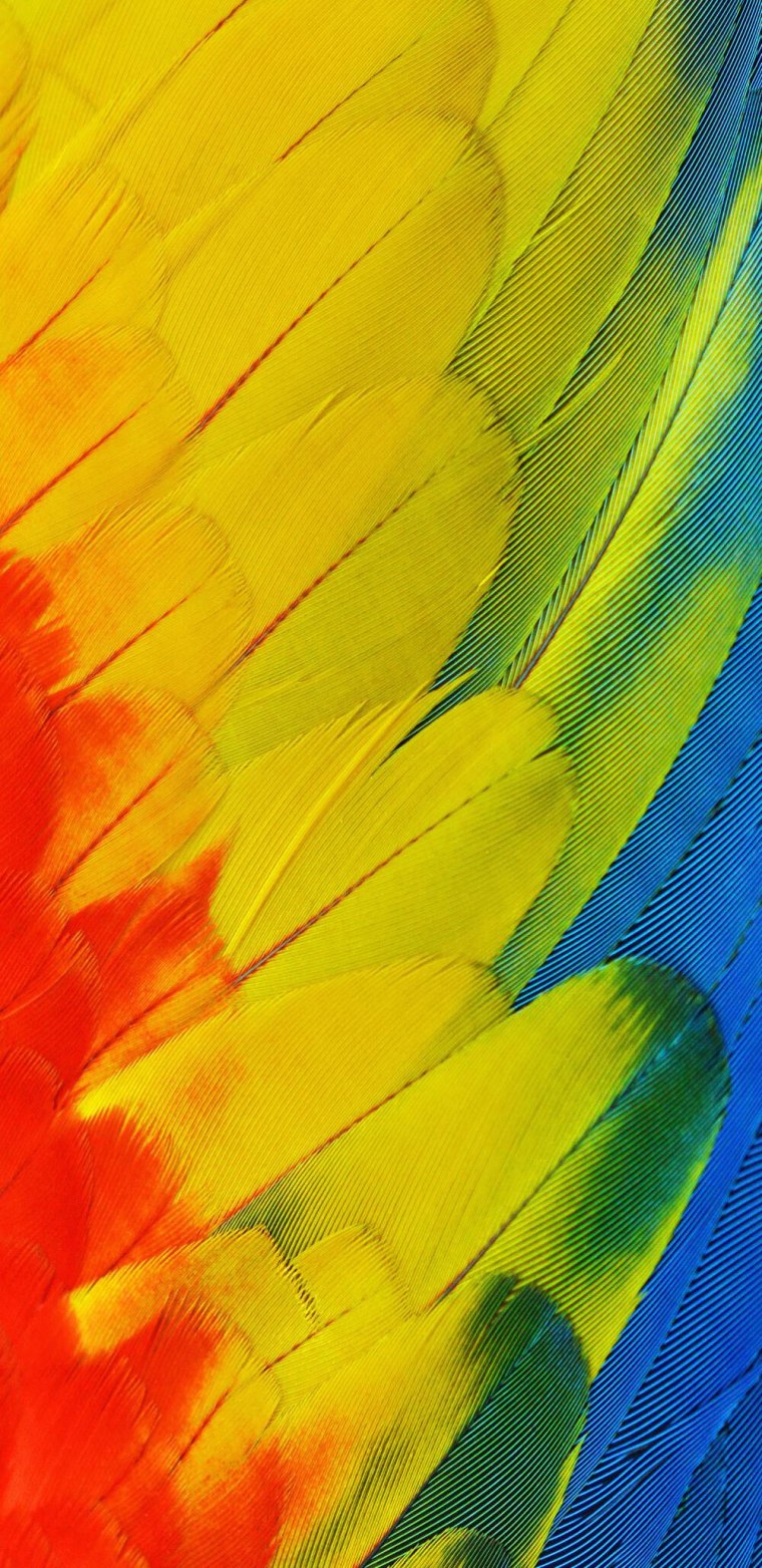 Надпись самсунг на тёмном фоне