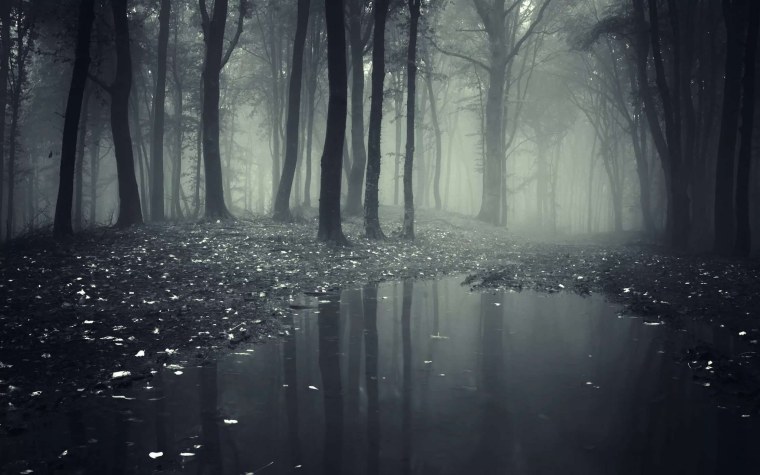 Проклятый лес 2 фильм 2011