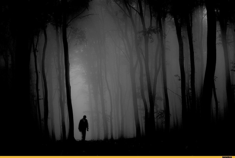 Темный силуэт в лесу