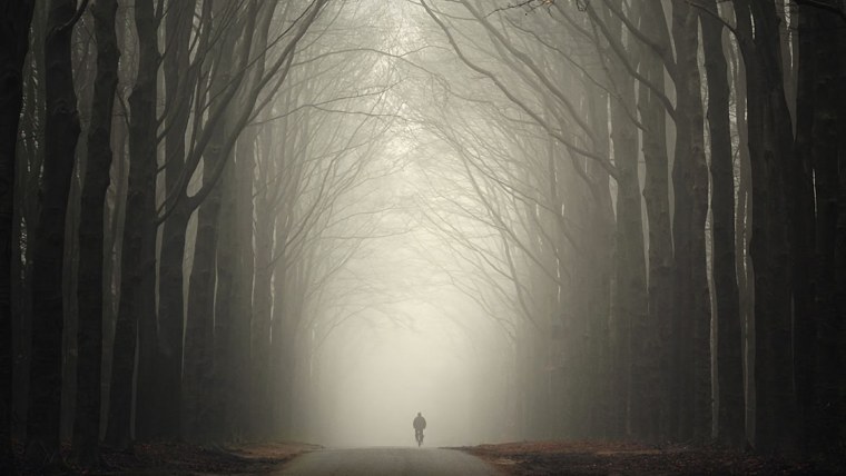 Мрачный пейзаж