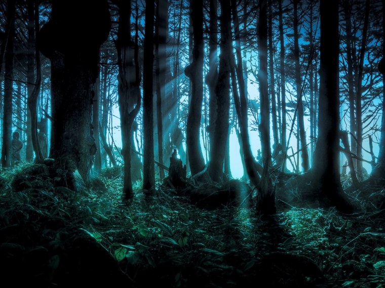 Дарк Форест густой лес