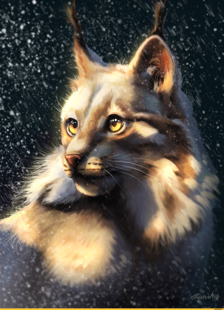 Оборотень Рысь