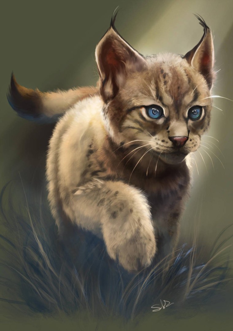 Коты Воители рысёнок