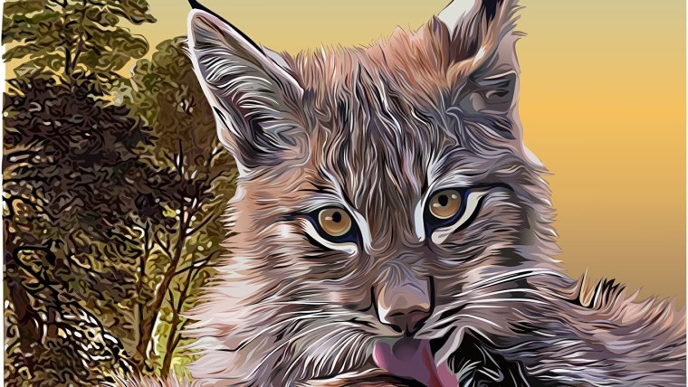 Фурри ariyah Lynx