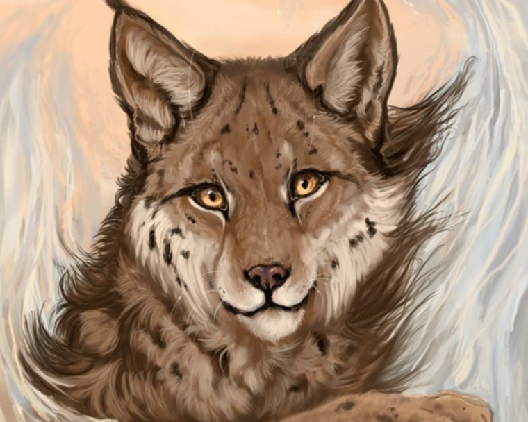 Вайлд крафт Рысь