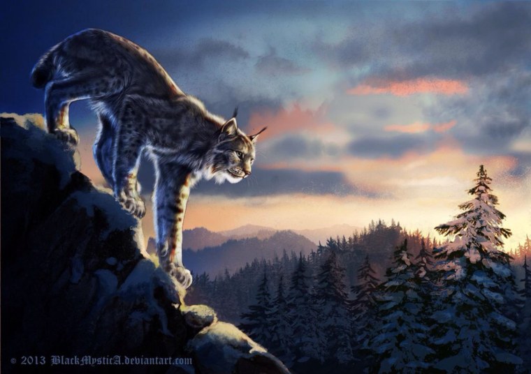 Дикая кошка фэнтези