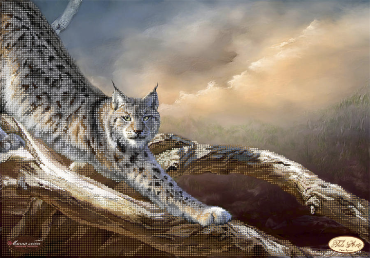Рысь арт