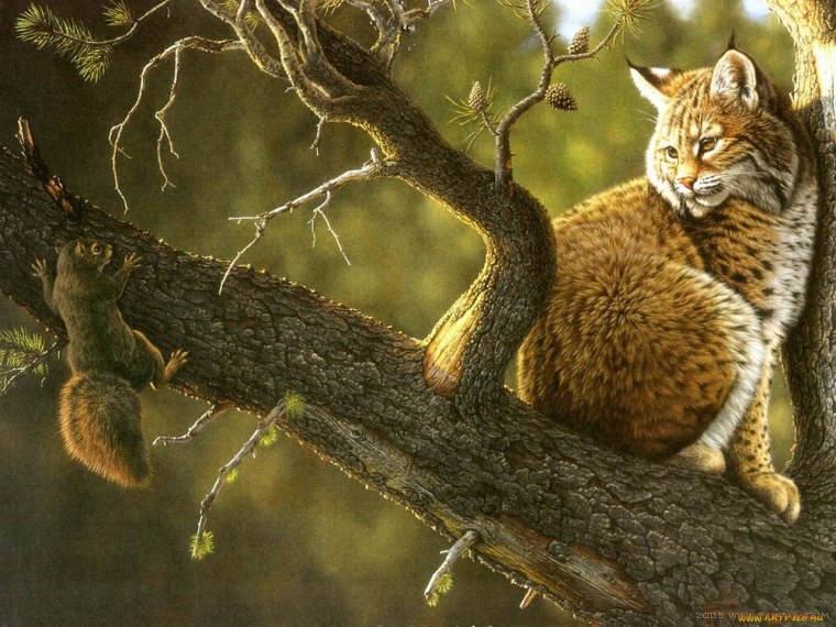 Рысь арт на аву