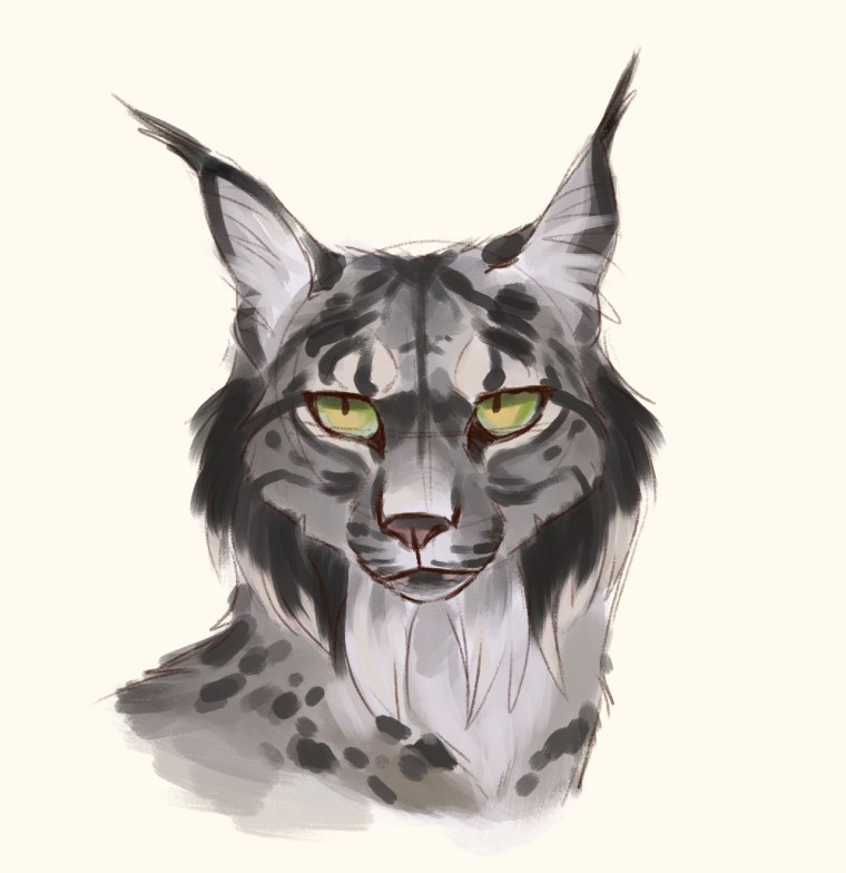 Рысь мультяшный злой