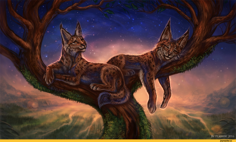 Коты Воители рысёнок