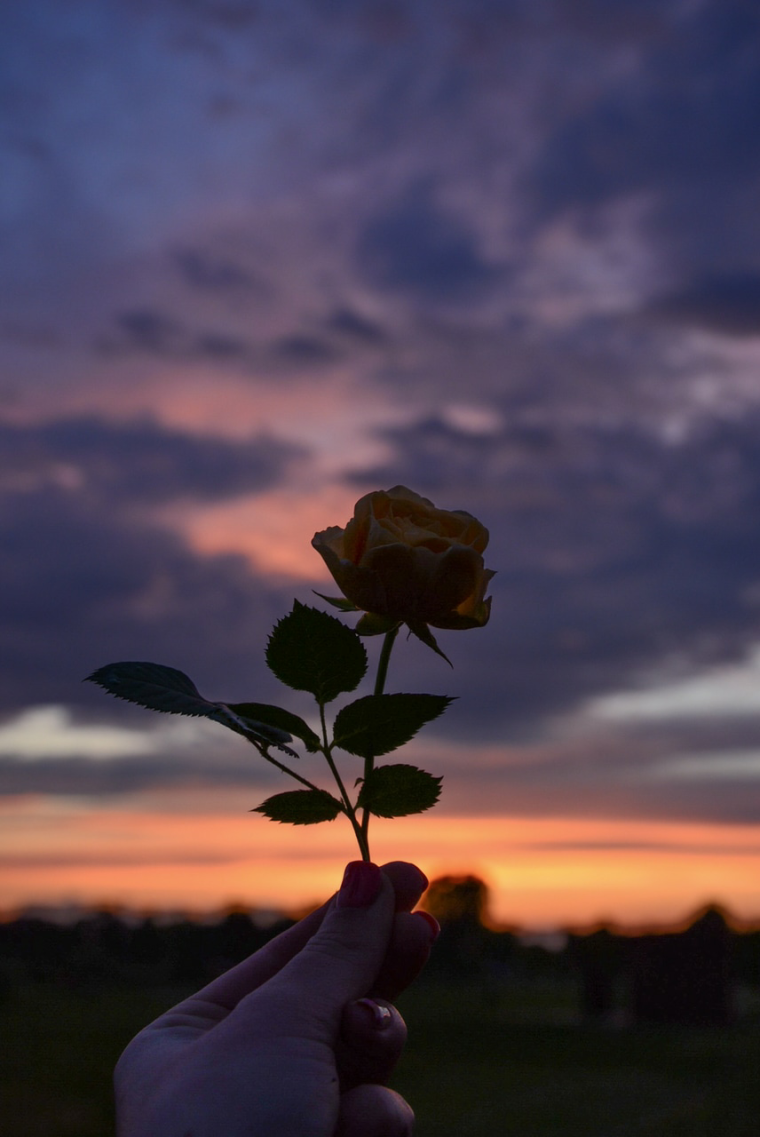 Грустный цветок