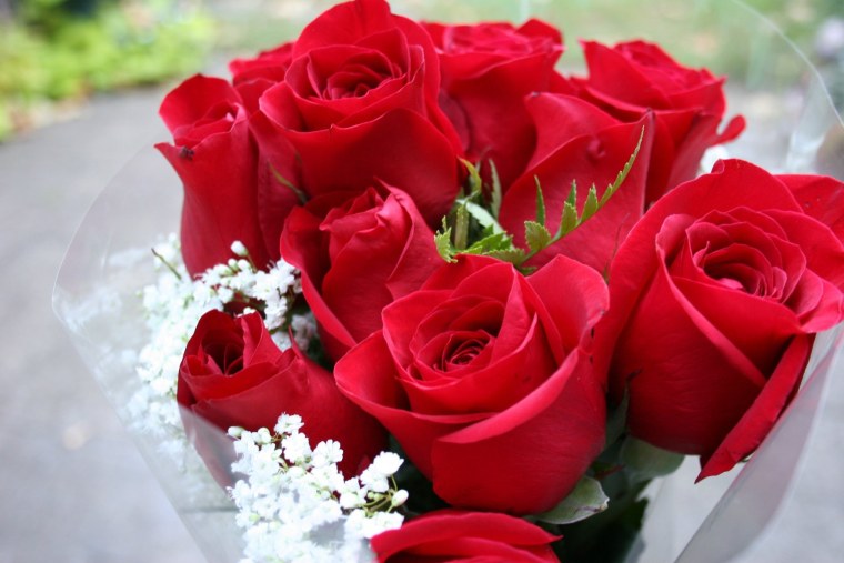 Гулар манзараси