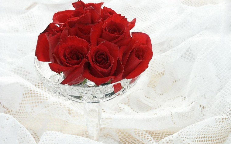 Красивые розы для любимой