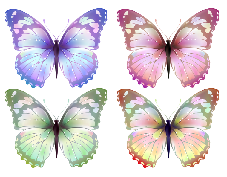 Бабочки цветные
