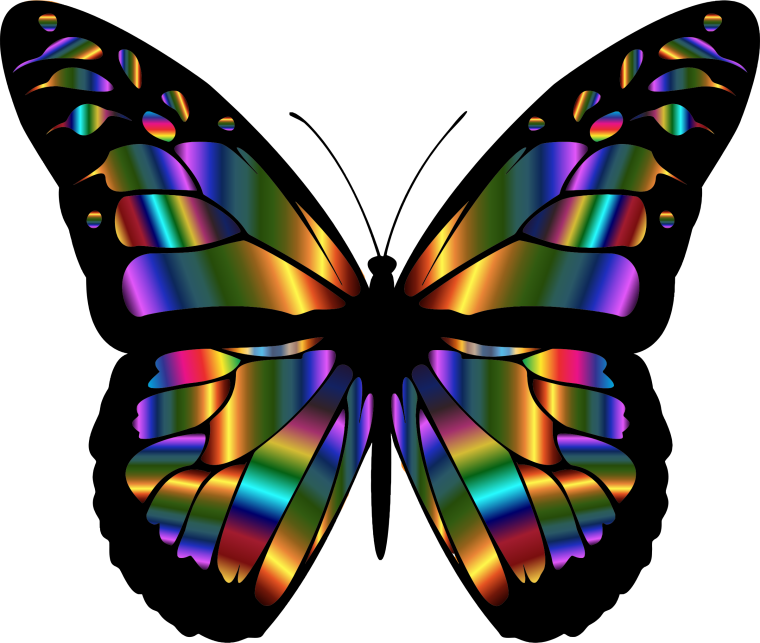 Яркие бабочки на прозрачном фоне