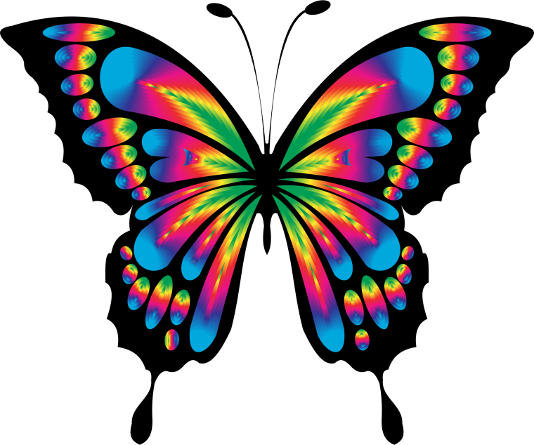 Бабочка рисунок