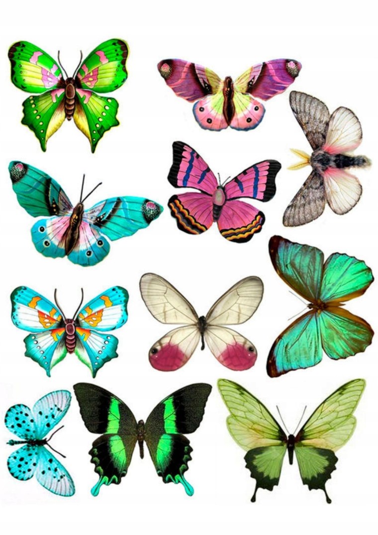 Бабочки для вырезания цветные