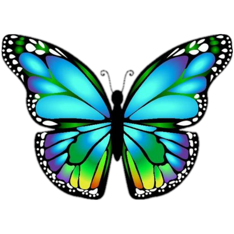 Бабочки для вырезания цветные