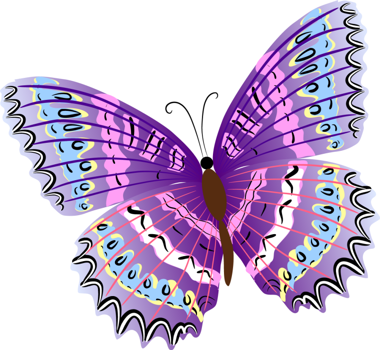 Бабочки цветные