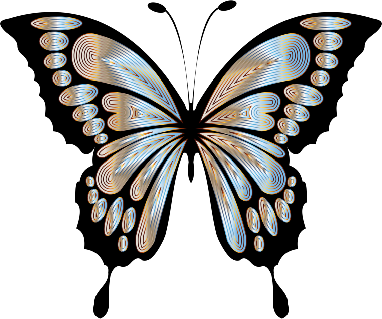 Много бабочек